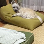 子どもが通う小学校で学級閉鎖のクラスが続出してます