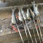 最近の養命酒の話