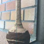 突然ですがクイズです